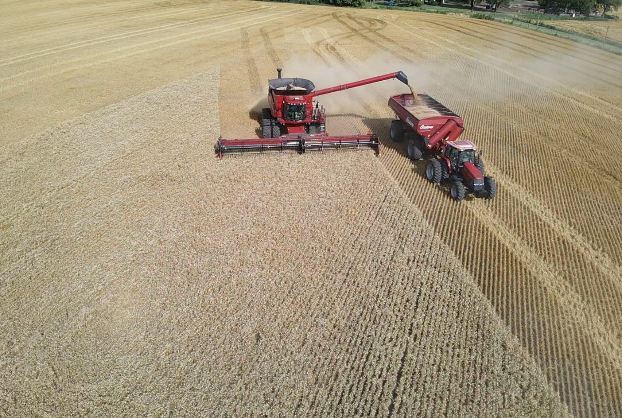 Cosechadora en un lote de trigo